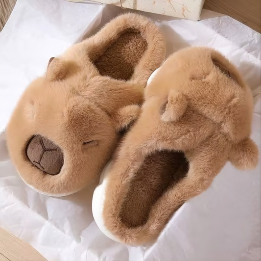 Capybara Slippers