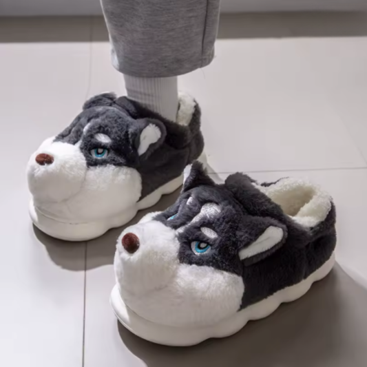 Dog Slippers